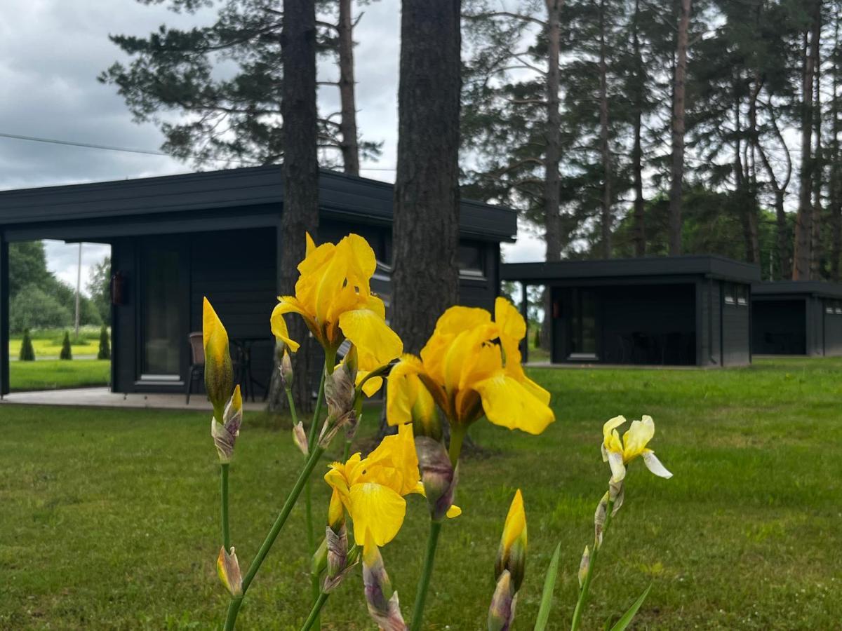 Villa Maennituka Suvetuba Kirikukula  Екстер'єр фото